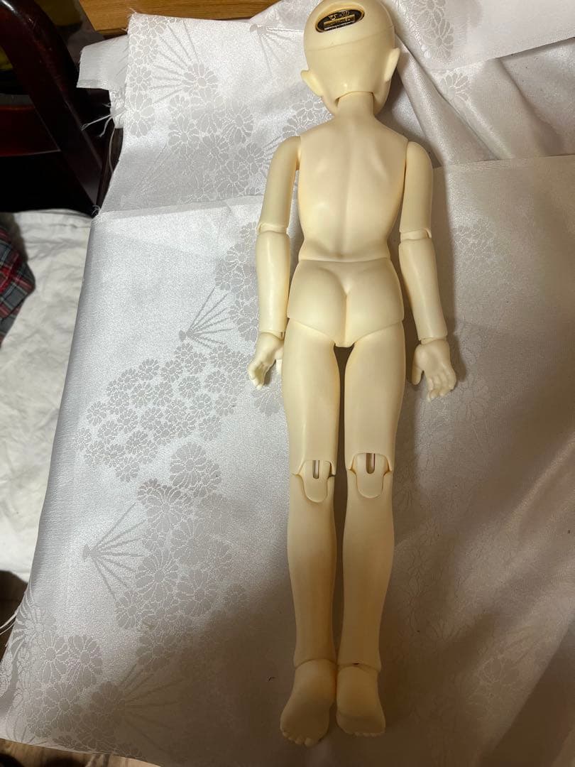 ボークス　コーディネートモデル　F 43SDM女の子