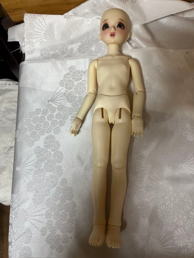 ボークス　コーディネートモデル　F 43SDM女の子