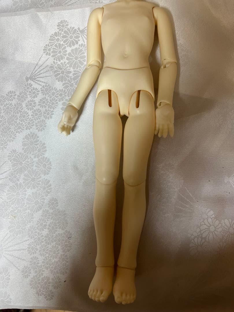 ボークス　コーディネートモデル　F 43SDM女の子