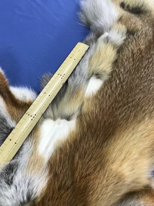 ろく様107【毛皮】赤狐処分No2、顔、脚、尾