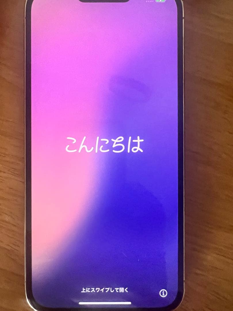 【美品】【即発送】iPhone 13 Pro Max 256GB 付属品あり