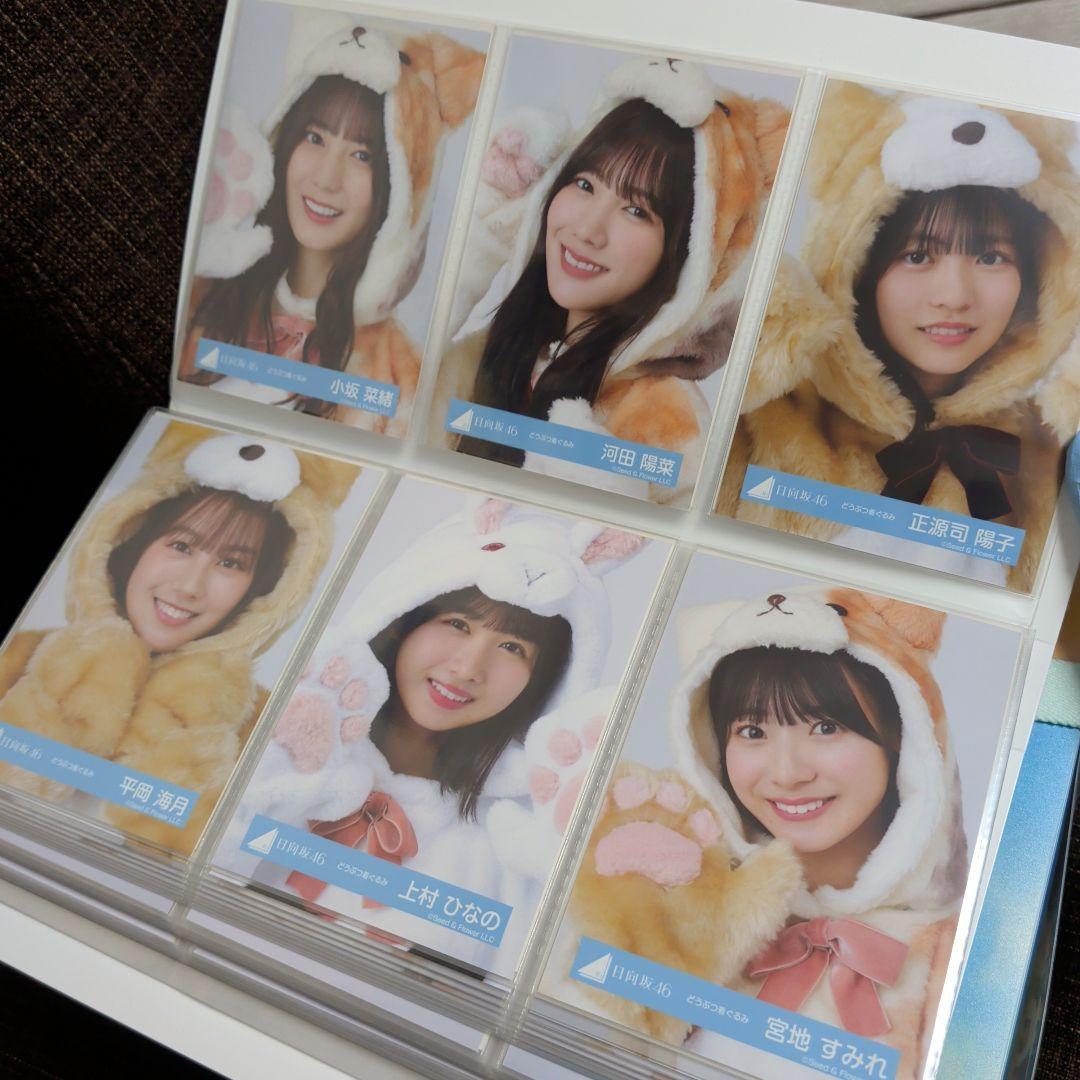 日向坂46　生写真セット　約1500枚