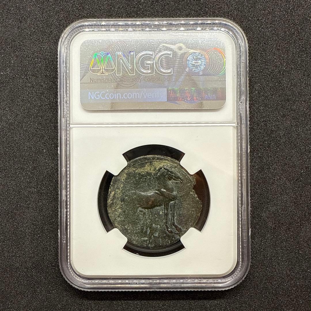 【希少】カルタゴ ゼウリガタナ NGC鑑定済み 古代