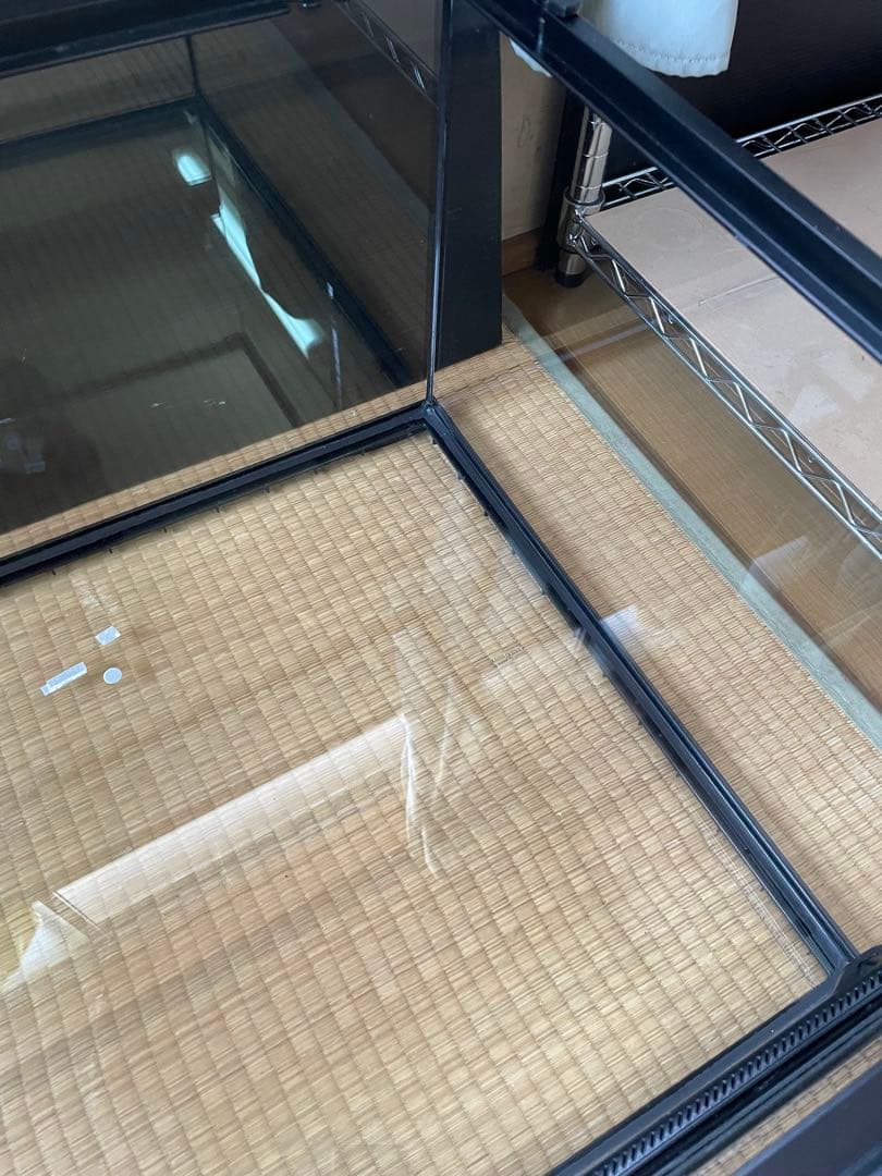 GEX グラステラリウム6030 爬虫類 ガラスケージ