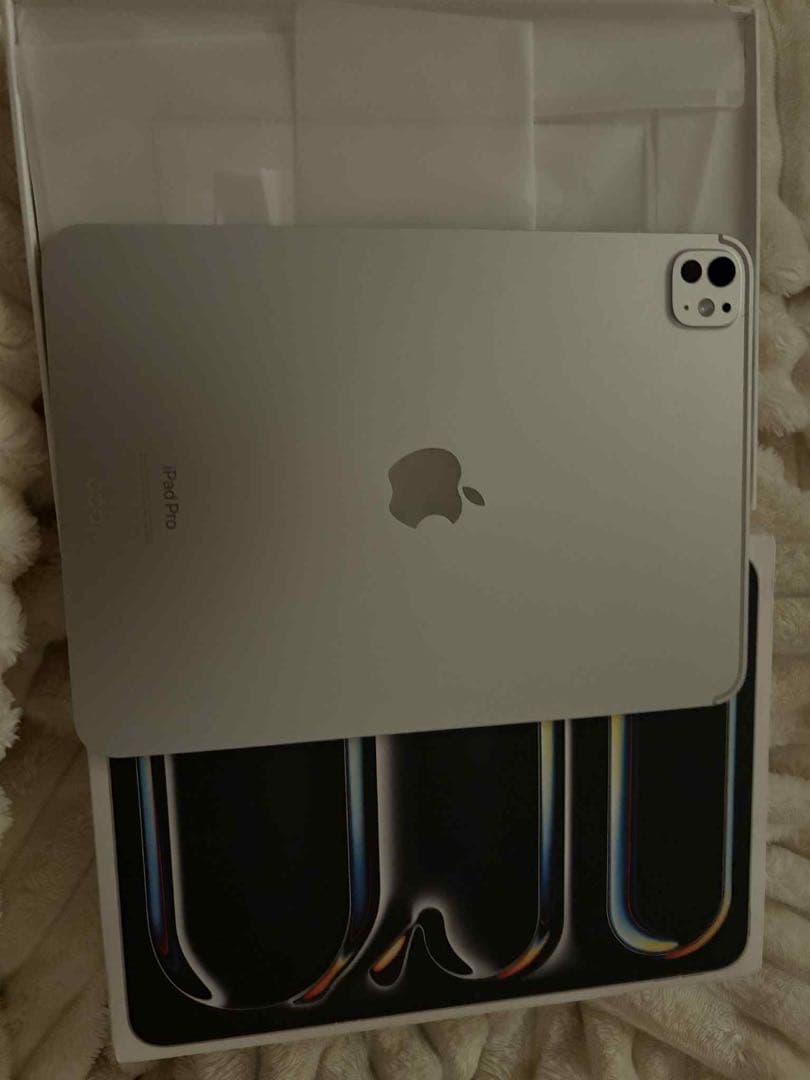 Apple iPad Pro 11インチ シルバー 本体