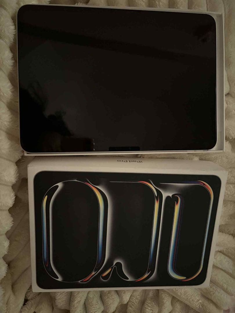 Apple iPad Pro 11インチ シルバー 本体