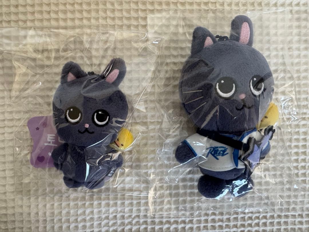 RIIZE PARK RIIZE KEY RING ウォンビン トニャンドク