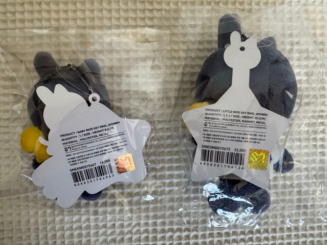 RIIZE PARK RIIZE KEY RING ウォンビン トニャンドク