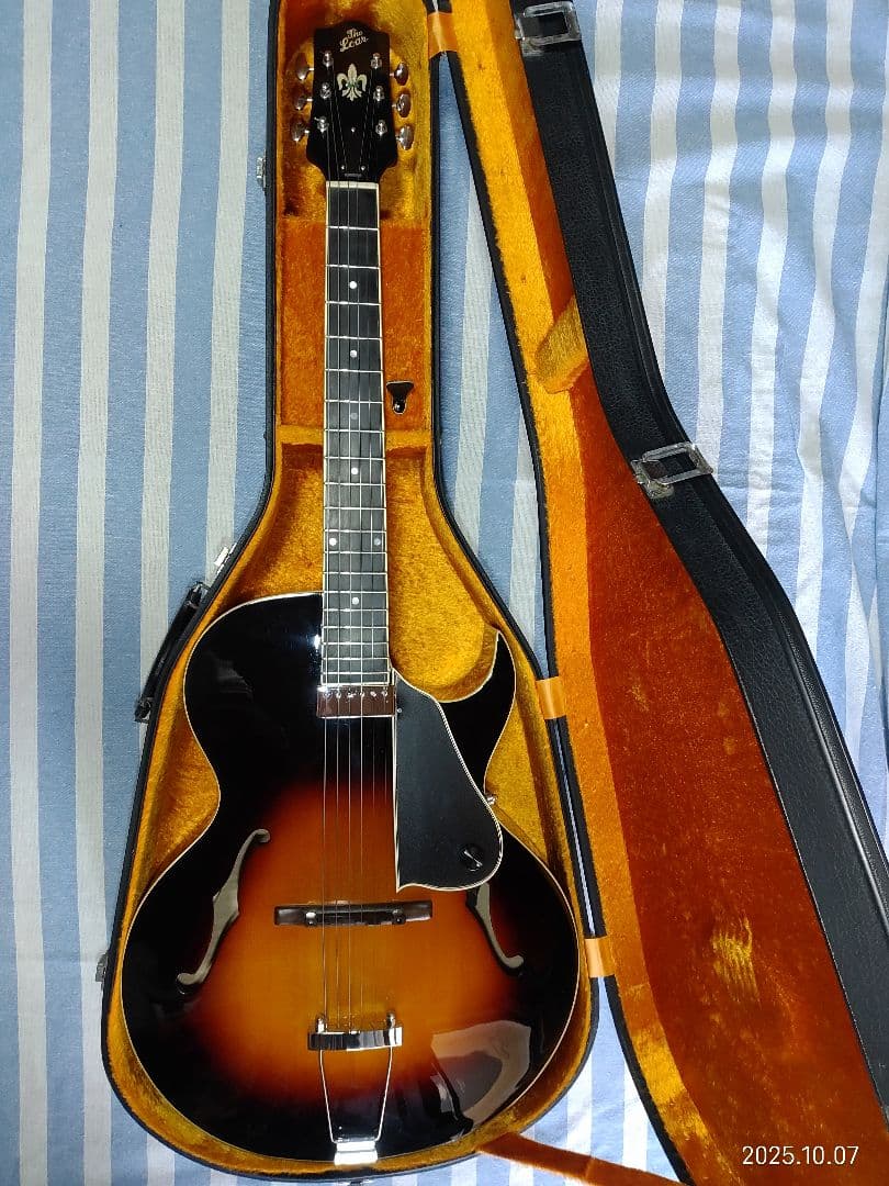 The Loarのハードケース付き1ハムフルアコLH-650vs使用感少な目美品