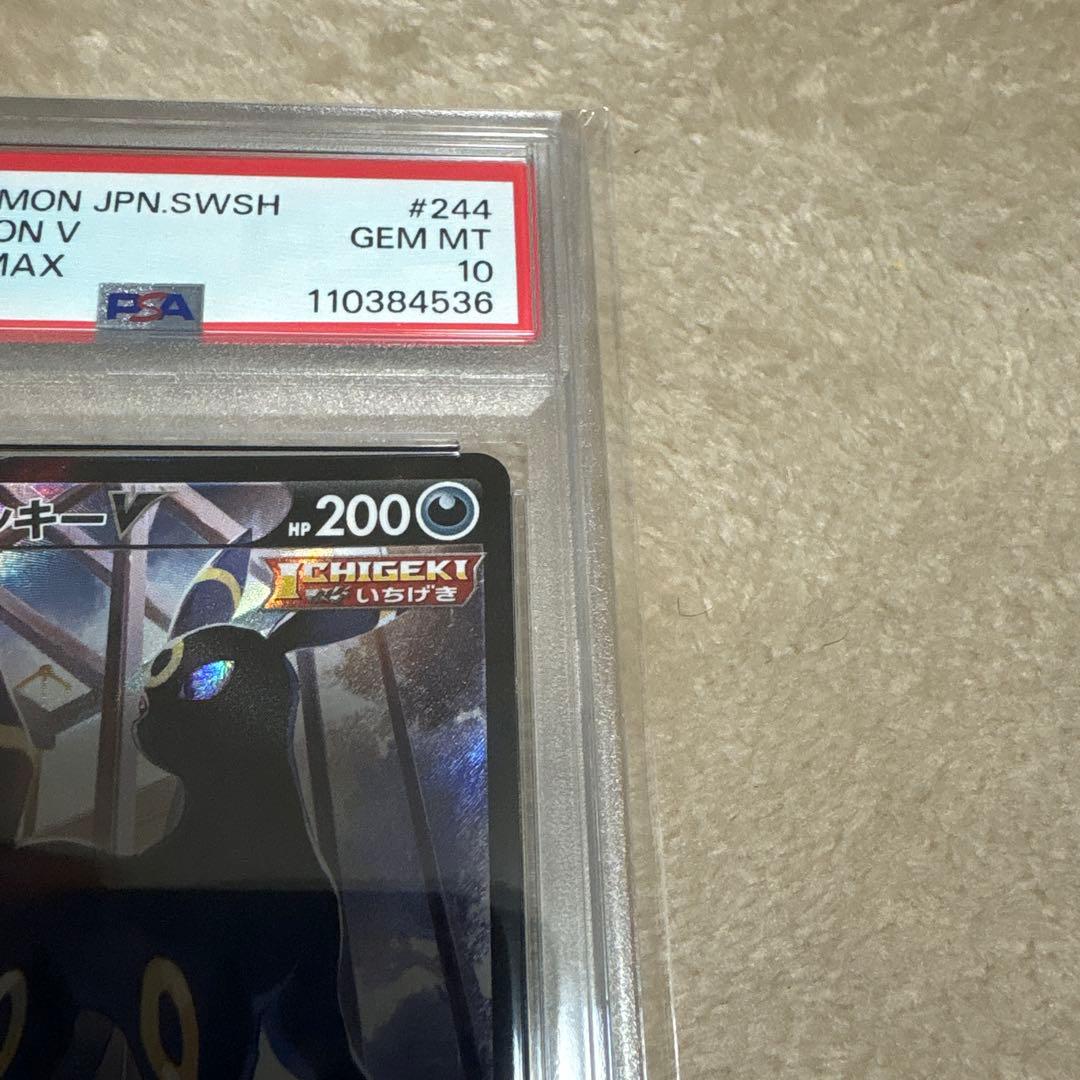 PSA10　ブラッキーV　244/184 ブラッキーVMAX　　245/184