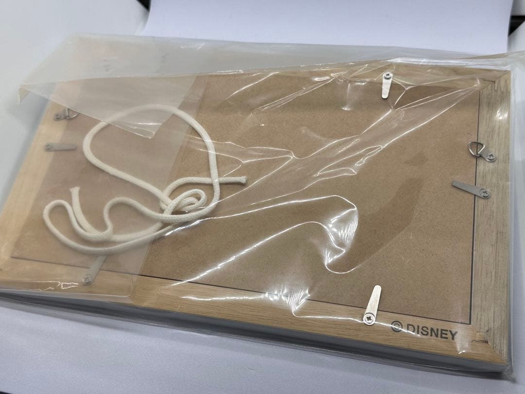 《希少》TDL 東京ディズニーランド　ミレニアム リトグラフ　世界限定2000個