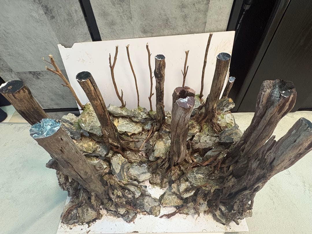 アクアリウム　水槽　レイアウト　流木