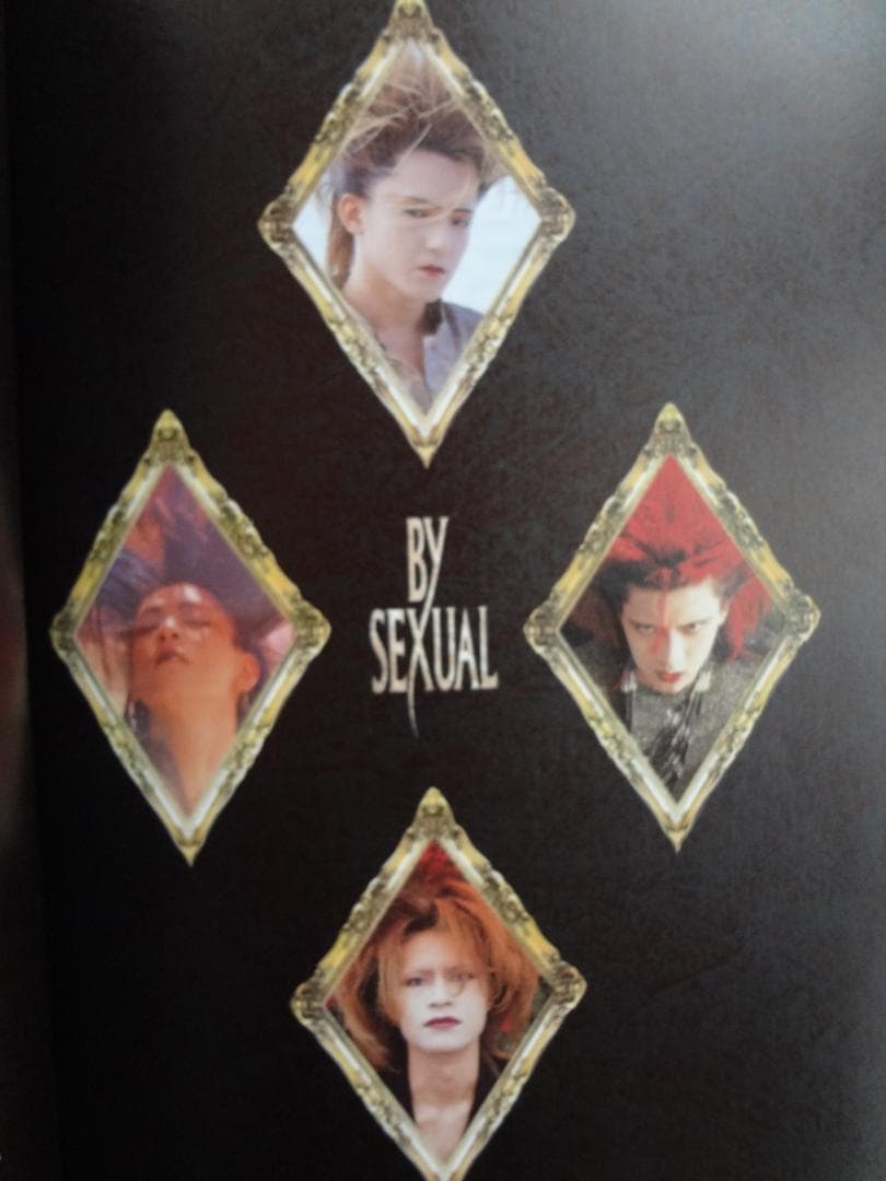 BY-SEXUAL アーティスト写真集・ｖｈｓセット