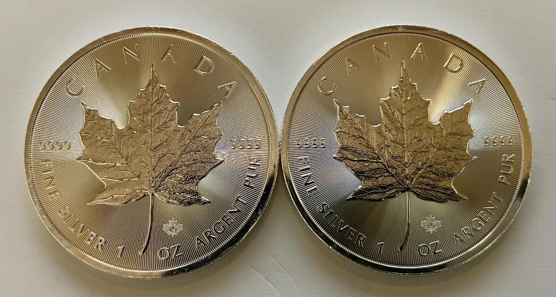 2025年カナダ1オンスメープルリーフ銀貨 (2枚セット)