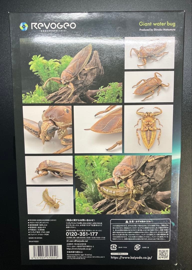 希少　海洋堂　リボジオ　タガメ