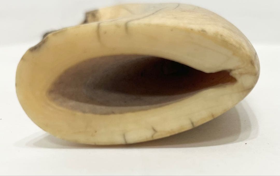 鯨の歯 牙 マッコウクジラ 重量約218g 杖材