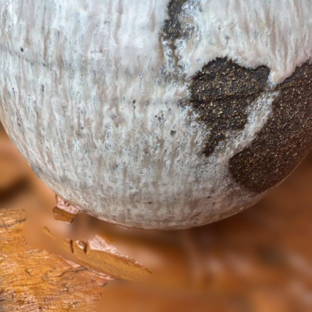 骨董　取っ手付き陶器花瓶 ホワイトとブラック