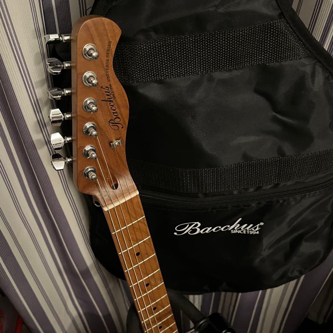 Bacchus テレキャスター BTE-2-RSM Black