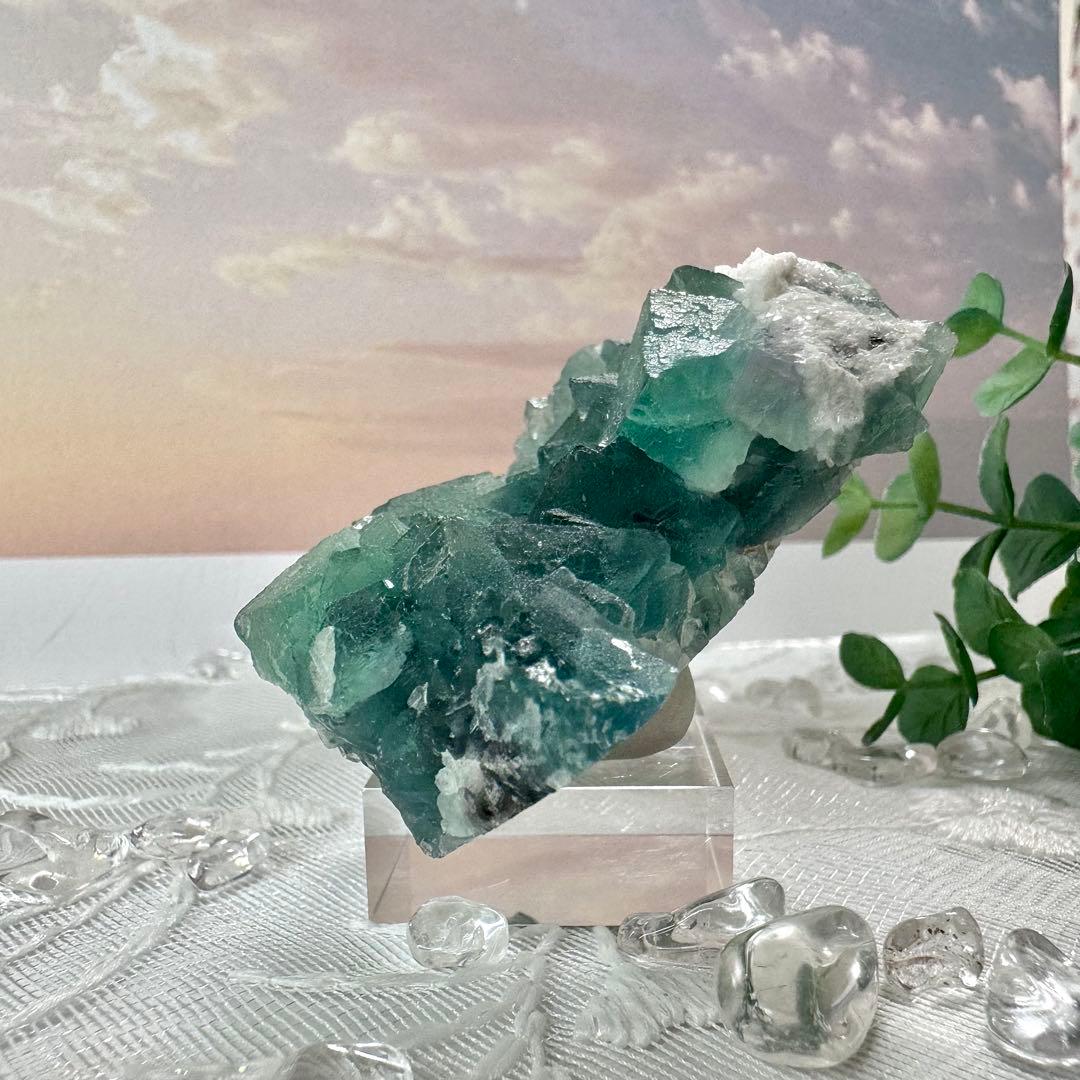 【D256】八面体 グリーンフローライト 内モンゴル 鉱物 標本