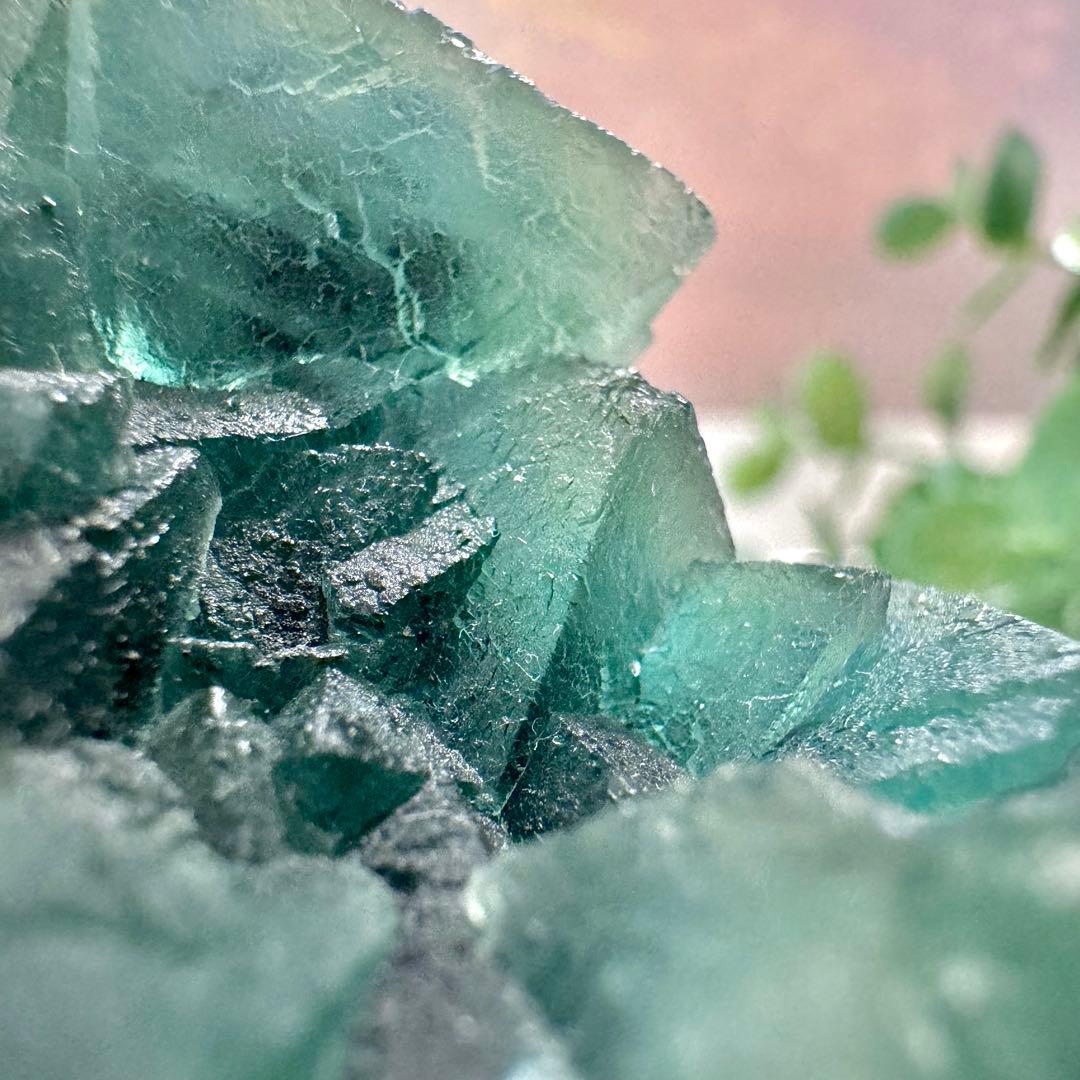 【D256】八面体 グリーンフローライト 内モンゴル 鉱物 標本