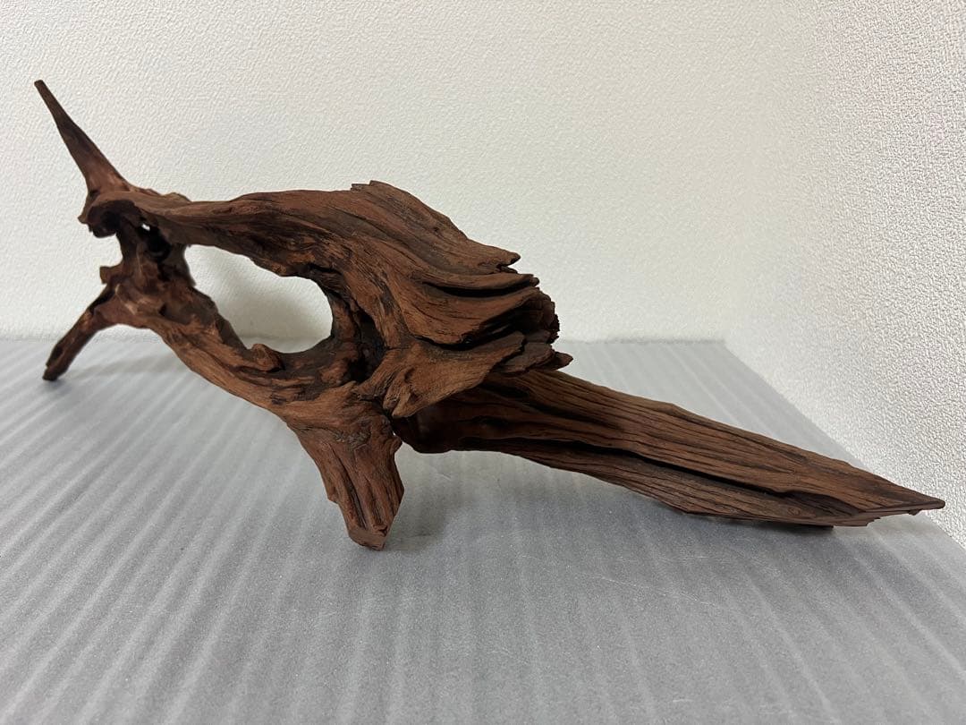 HX-081 流木　ホーンウッド　マシンガンウッド　アクアリウム　ブランチウッド