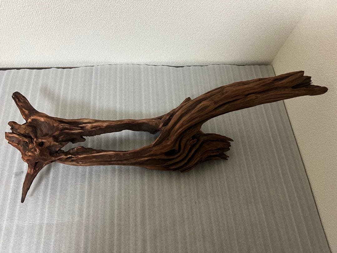 HX-081 流木　ホーンウッド　マシンガンウッド　アクアリウム　ブランチウッド