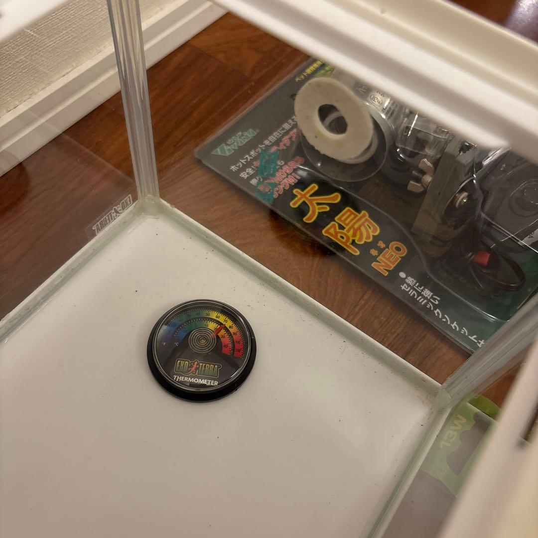 両生類飼育セット