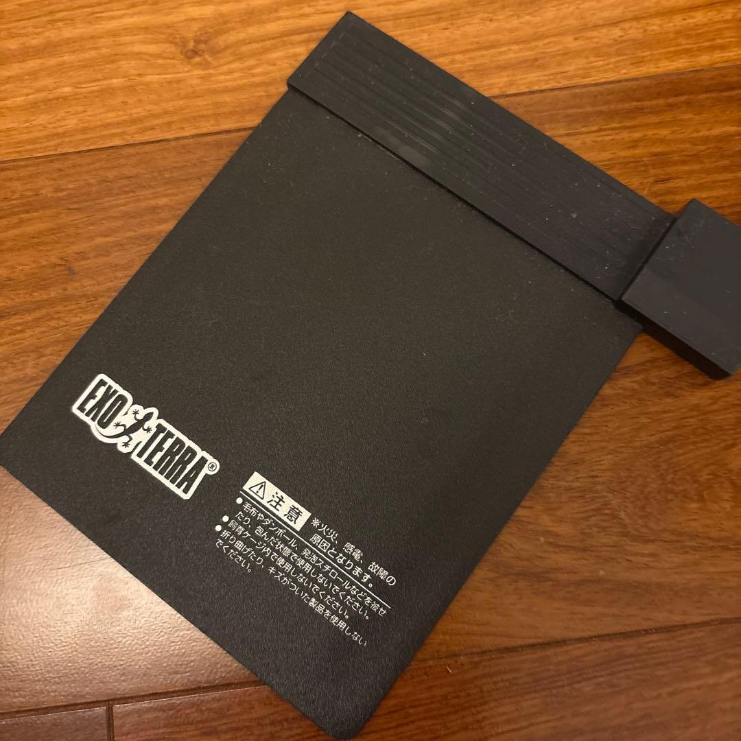 両生類飼育セット