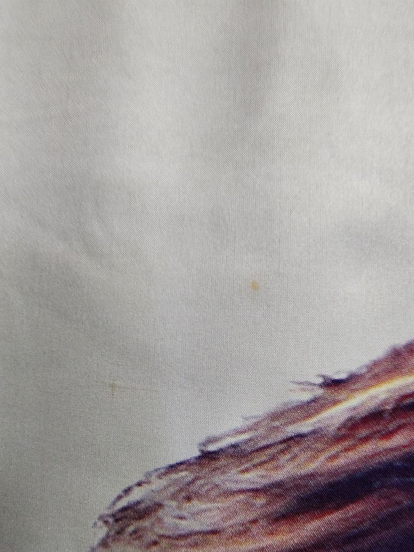 希少！藤木直人【特大】タペストリー　ロッテ　ポスター