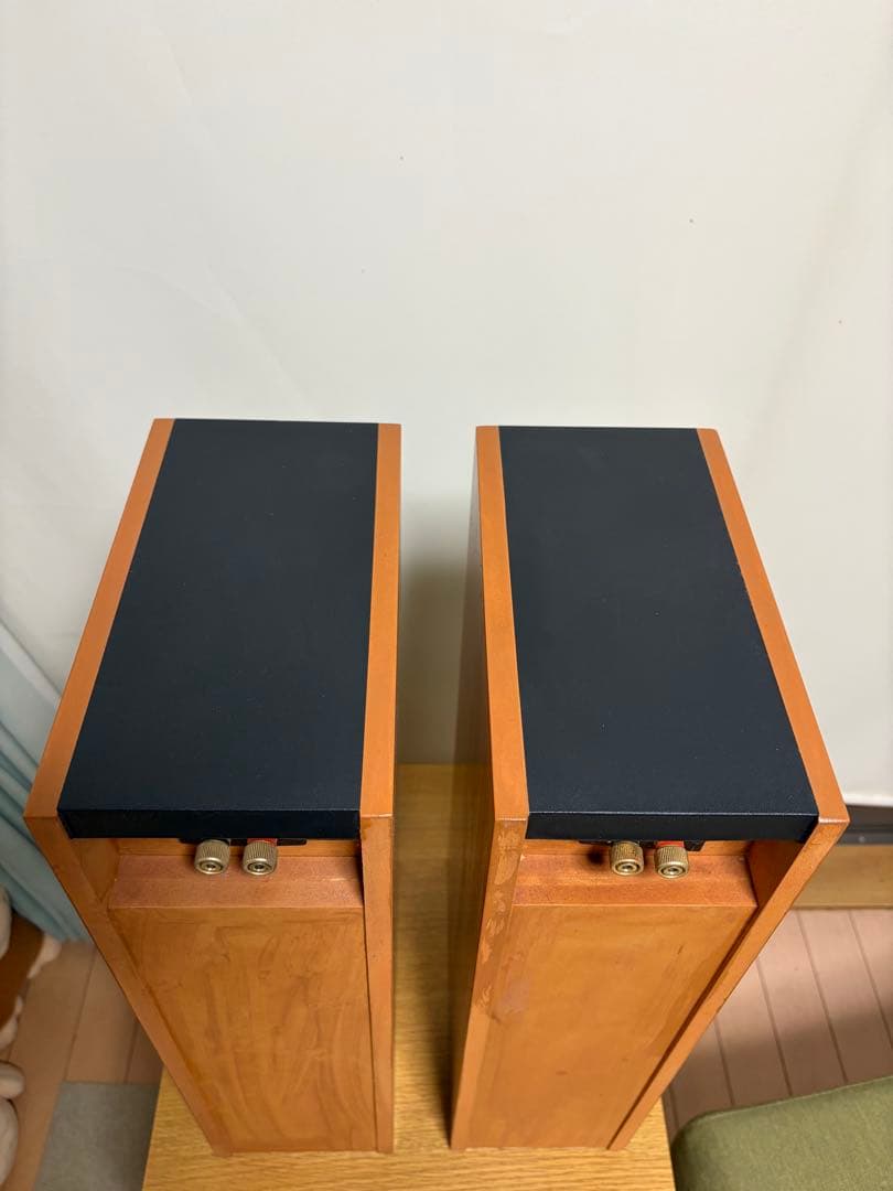 小澤氏設計「スリースター」（ダクト付バックロード）ユニット、OM-MF519