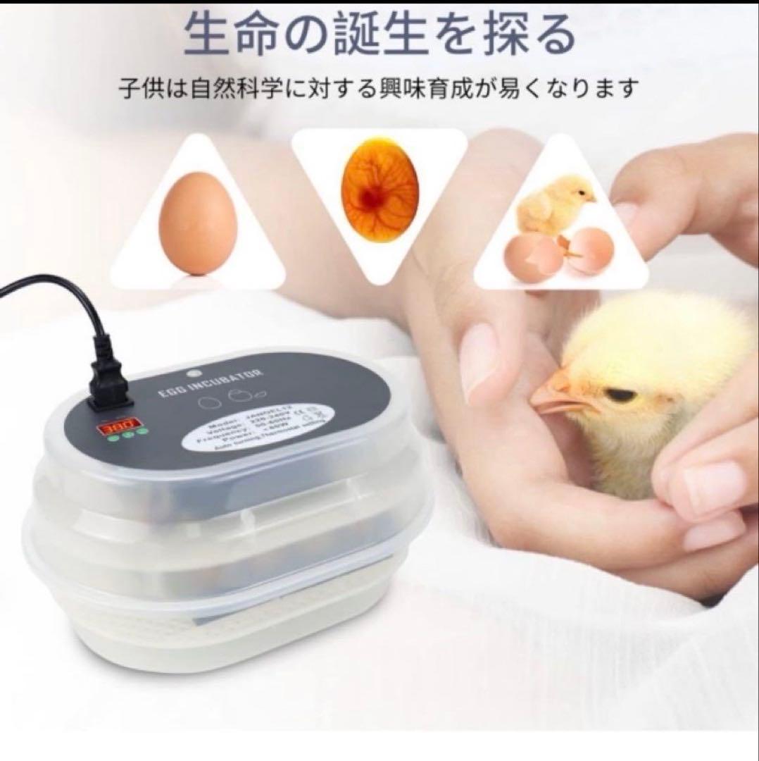 大容量全自動孵化機12個用 自動転卵機能付け