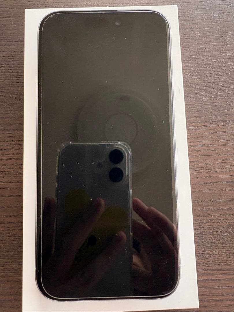 Apple iPhone 15 Pro シルバー 256GB 本体　付属品あり！