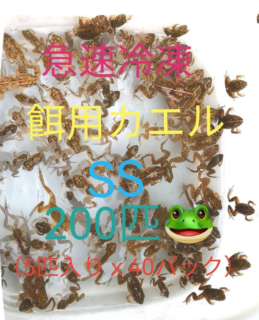 二百匹【冷凍】SS 餌用カエル ヌマガエル エサ用 爬虫類 蛇の餌 ヘビ トカゲ