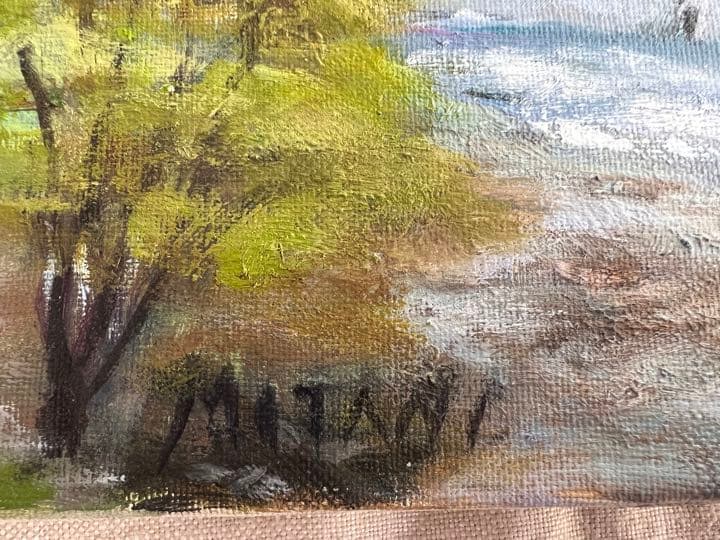 ◆油絵　キャンバス画　F10  MITANI 真作 ◆A-3391