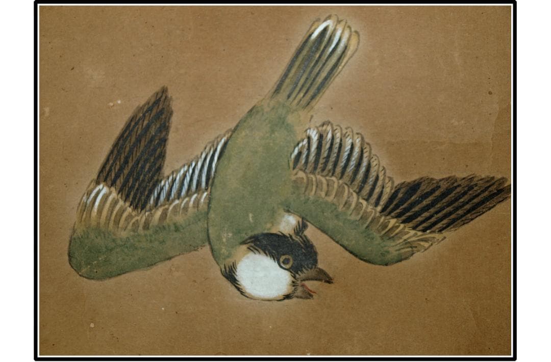 祖父の宝　時代の掛軸1　肉筆保証　　日本　中国<BR> X1056C15-1