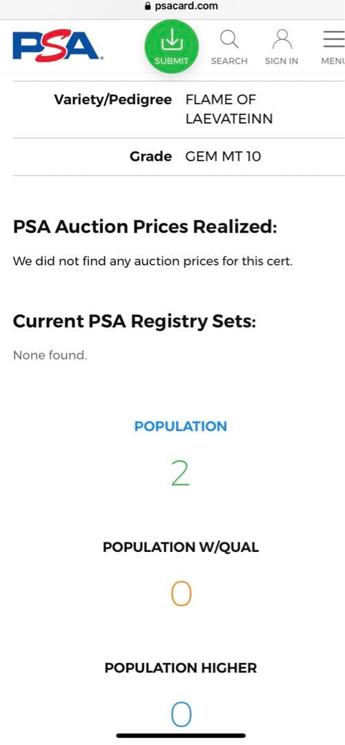 シャドウバースエボルヴ　ドロシー　リーダー　PSA10