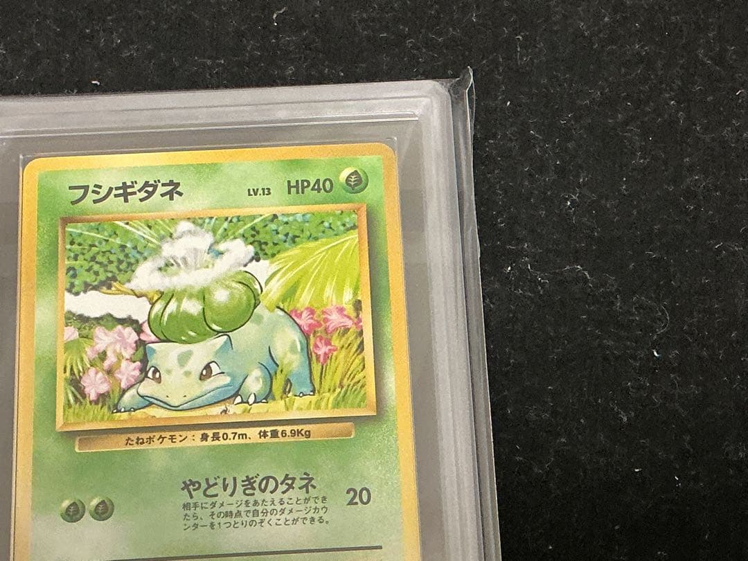 ars10 フシギダネ　　ヒトカゲ　旧裏　　第一弾