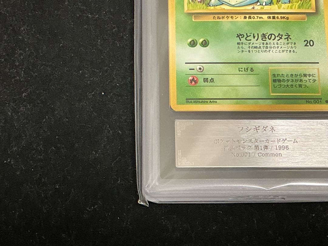 ars10 フシギダネ　　ヒトカゲ　旧裏　　第一弾