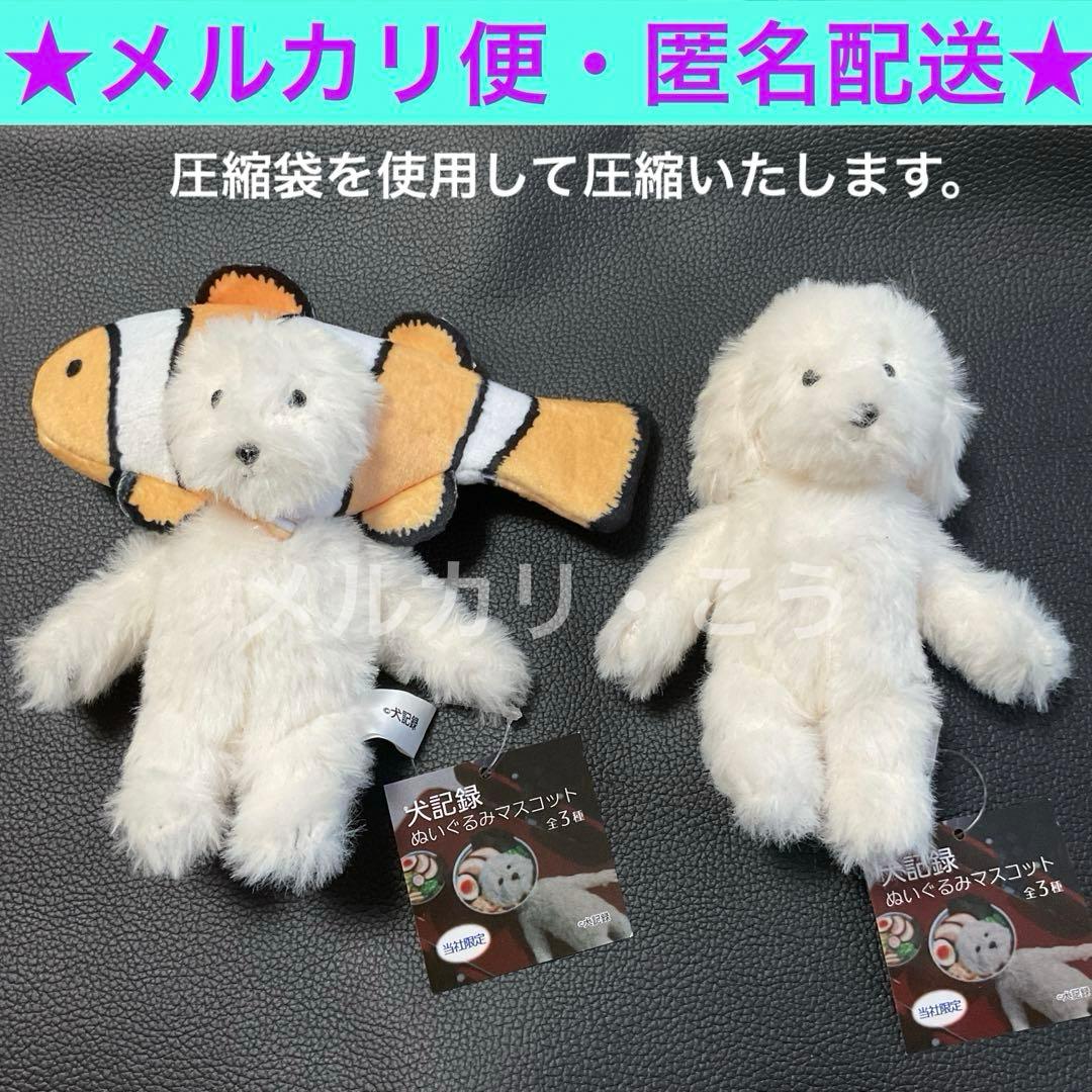 犬記録 ぬいぐるみ マスコット クマノミ・ノーマル　モーリーファンタジー 限定