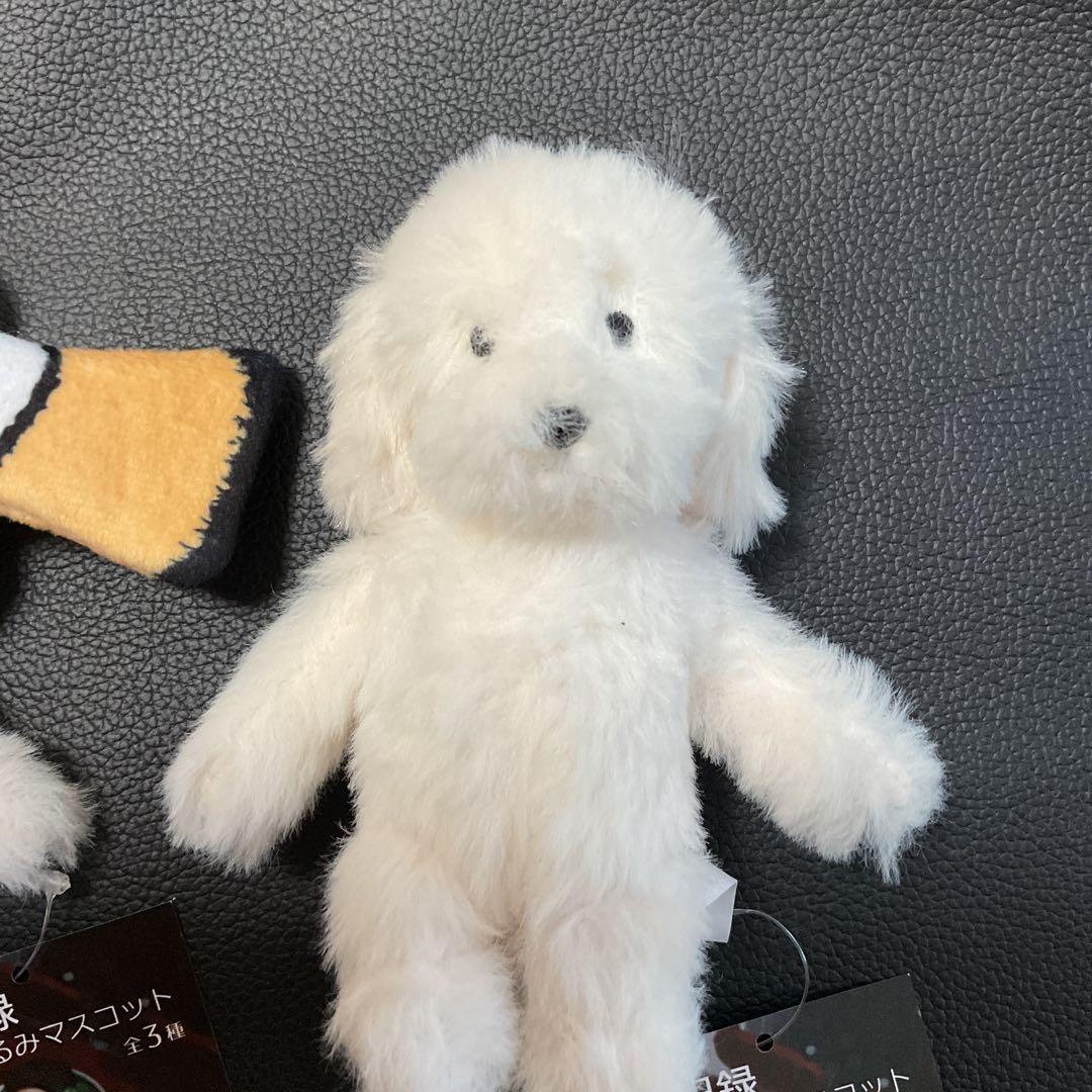 犬記録 ぬいぐるみ マスコット クマノミ・ノーマル　モーリーファンタジー 限定