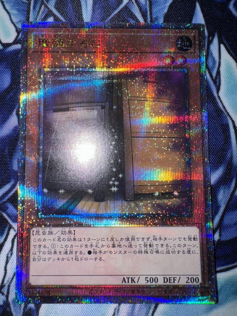遊戯王 増殖するG 25th クオシク　QC