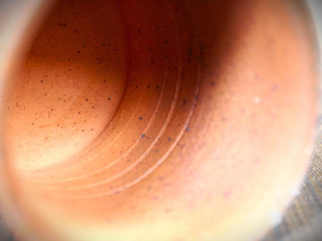 新作★中里太亀【師＆父：中里隆】唐津南蛮焼き締め湯のみA