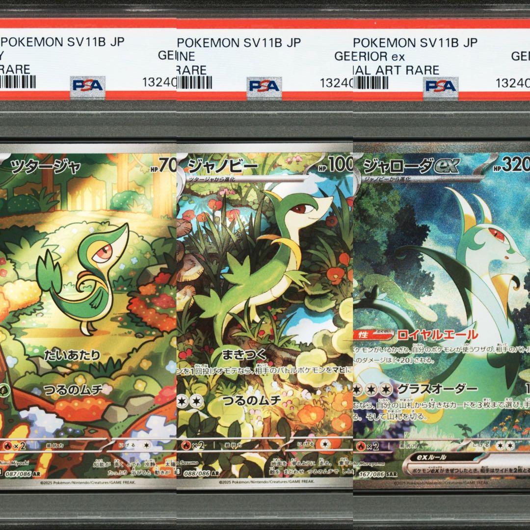 【PSA10】ポケモンカード　ジャローダex SAR ツタージャ　ジャノビー