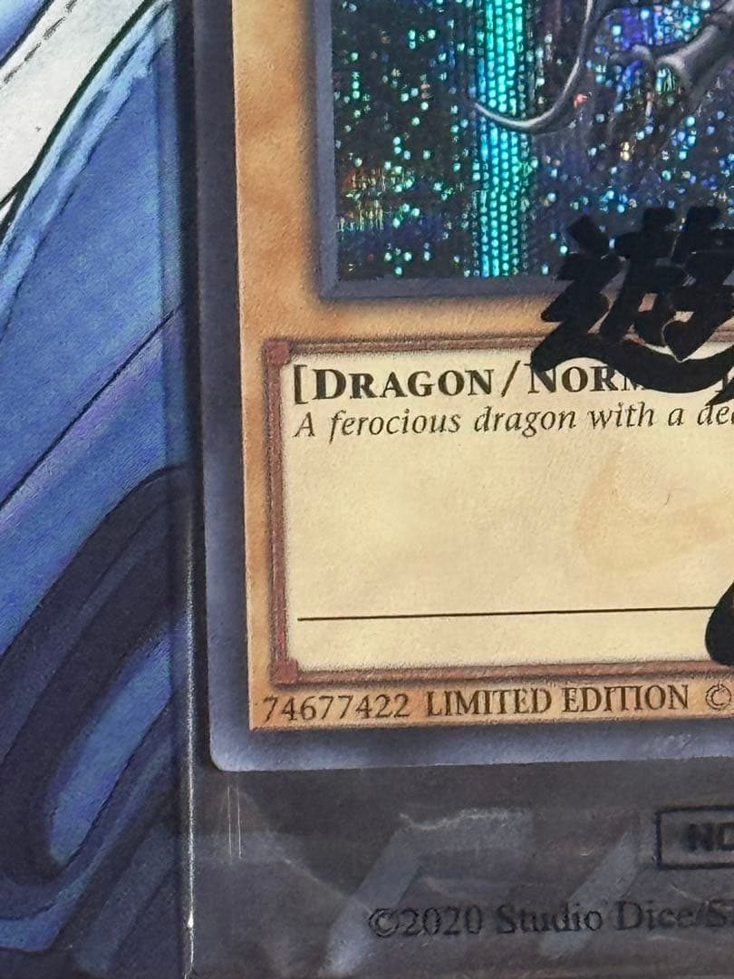 遊戯王 NIKE コラボ レッドアイズブラックドラゴン　真紅眼の黒竜