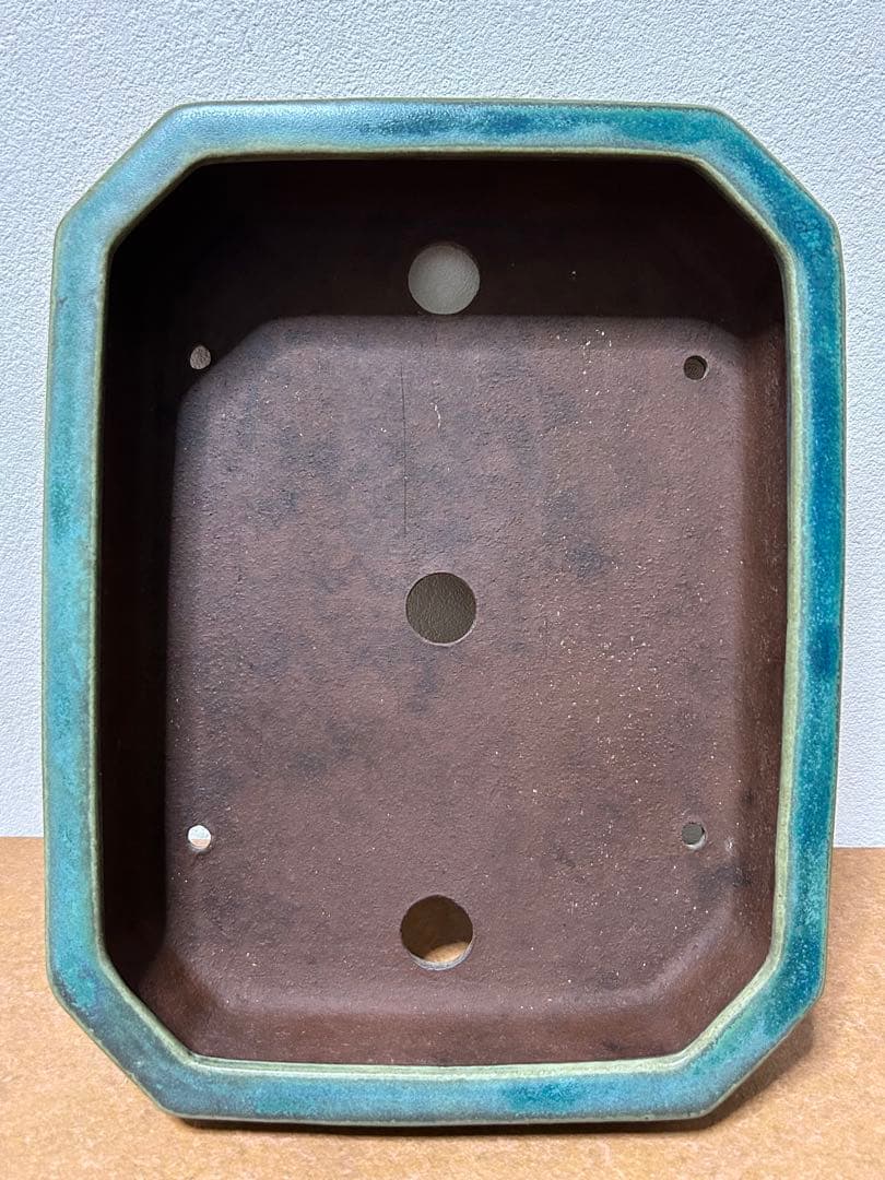 山秋　盆栽鉢　小品盆栽　山野草