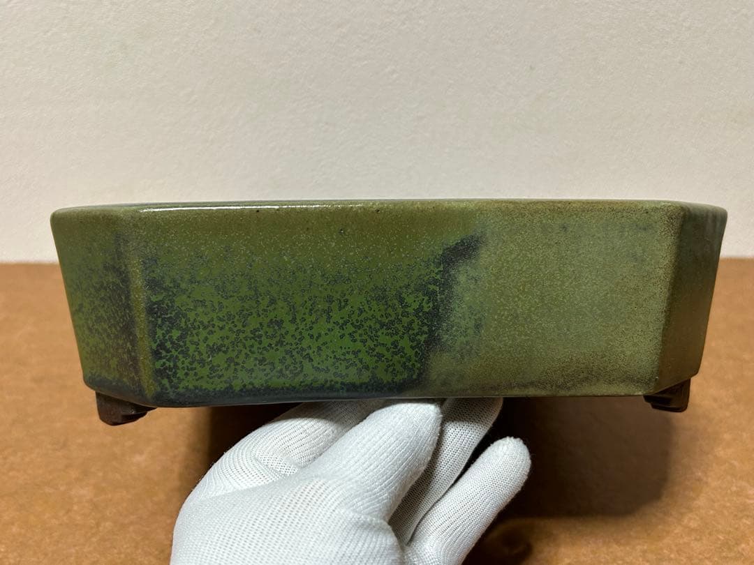 山秋　盆栽鉢　小品盆栽　山野草