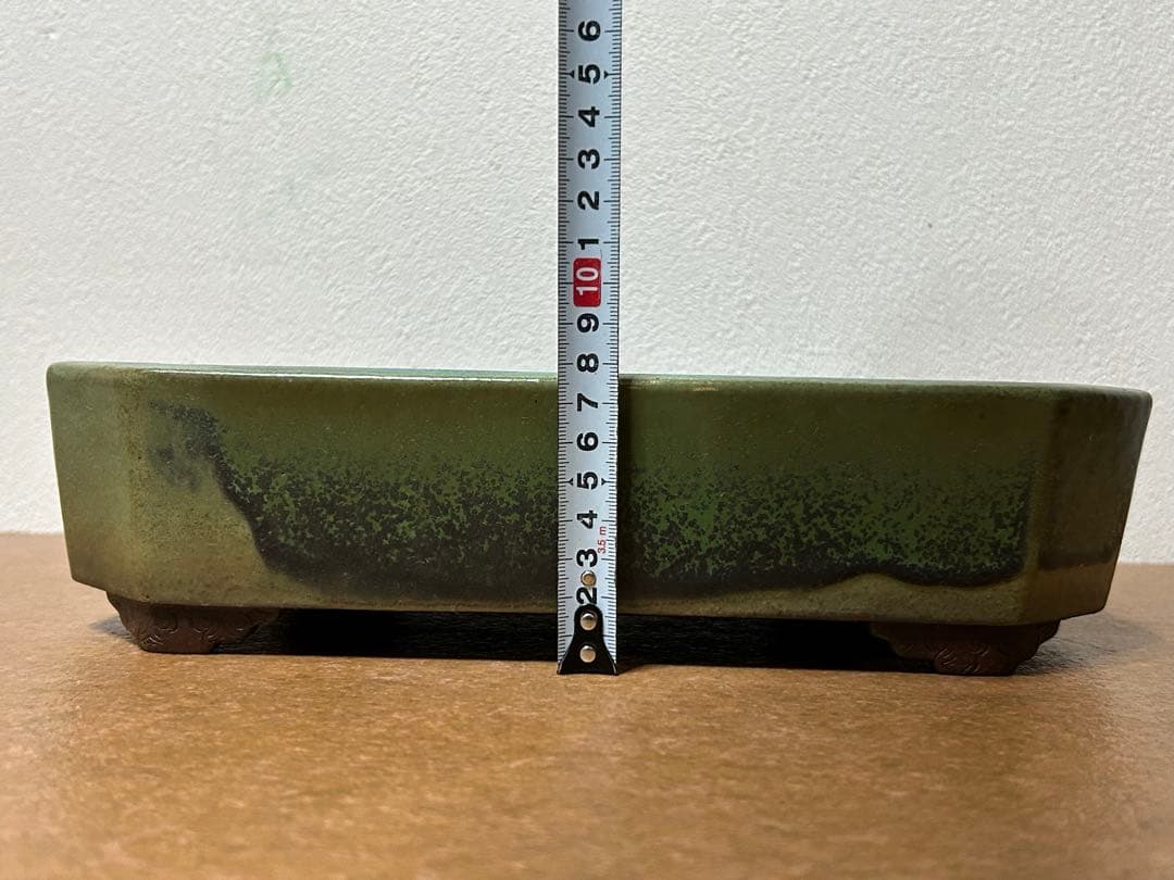 山秋　盆栽鉢　小品盆栽　山野草