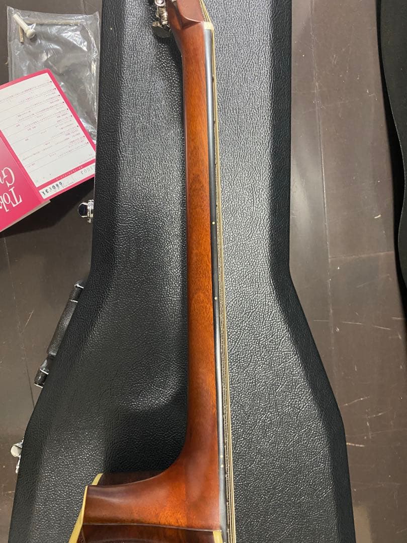 アコースティックギター　cat's eyes