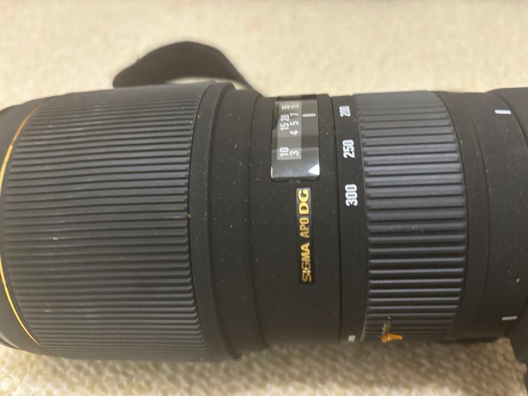 レンズ(ズーム) Nikon APO 100-300mm F4 EX DG HSM