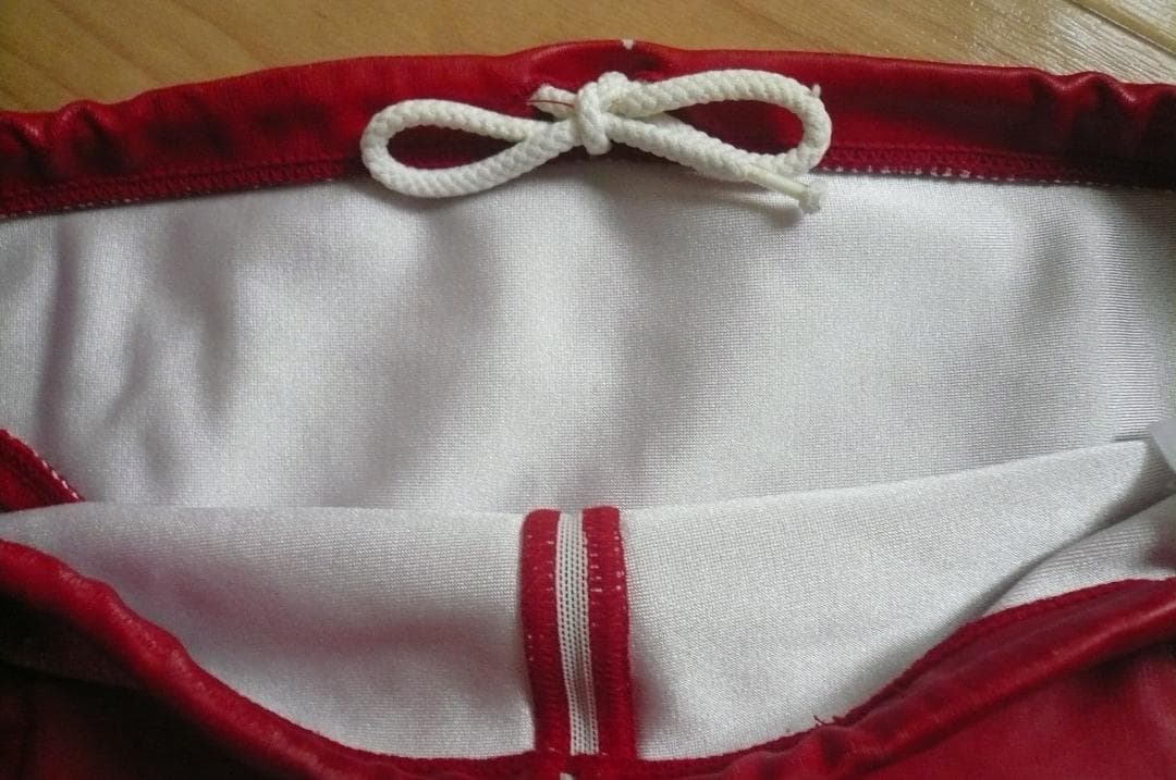 まさと！廃盤！競泳水着 メンズ ビキニ 【arena】&【speedo】